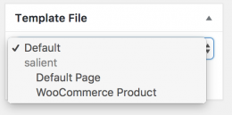 Salient Custom Page Templates Salient Custom Page Templates